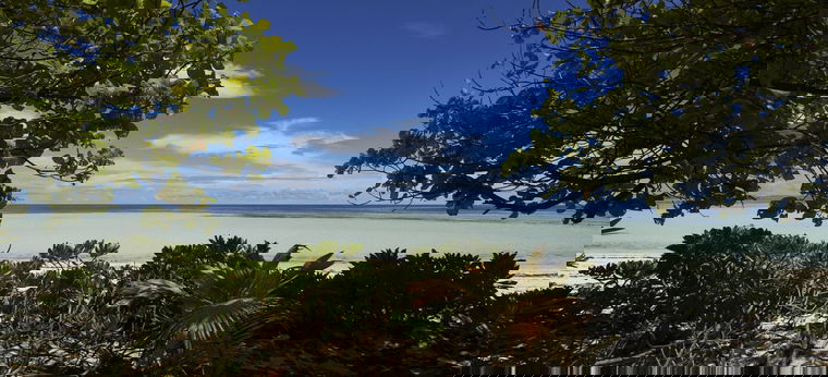 Der Blick auf die Bucht Anse la Mouche auf den Seychellen durch das Dickicht a rand des Strandes